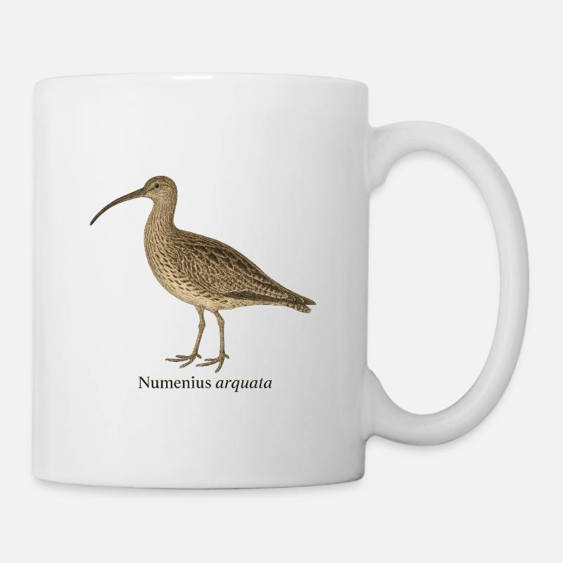 Brachvogel - Numenius arquata - Tasse - Weiß