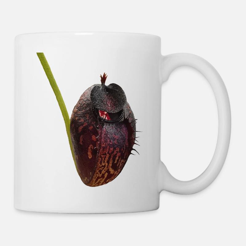 Nepenthes aristolochioides 02 - Tasse - Weiß