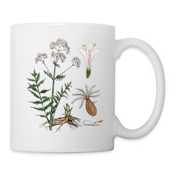 Baldrian (Valeriana officinalis) - Tasse - Weiß - Rechts