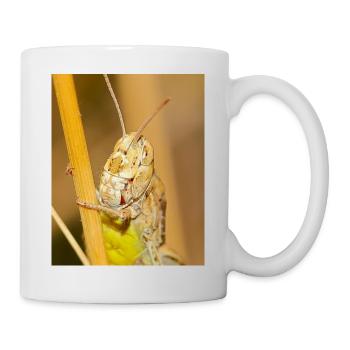Macro photograph of a grasshopper in details - Mug - white - Right