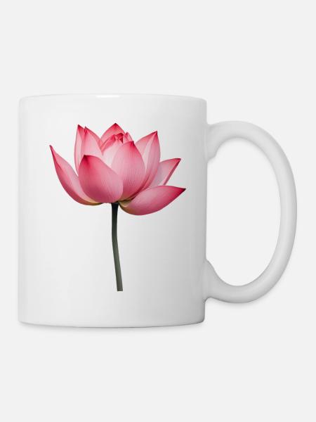 Lotusblume Seerose - Tasse - Weiß