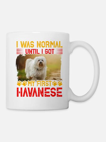 J’étais normal jusqu’à ce que j’obtienne mon premier bichon havanais - Mug blanc - blanc
