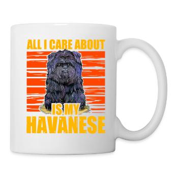 All i care about is my Havanese - Mug - white - Right