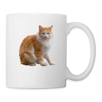 light brown white longhair cat, sitting photography - Mug - white - Right