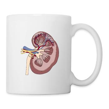 Niere Anatomie - Tasse - Weiß - Rechts