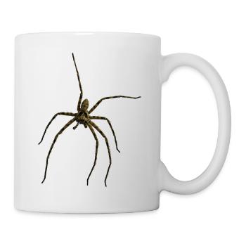Hauswinkelspinne - Tasse - Weiß - Rechts