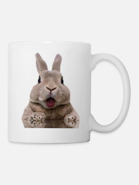 Lapin - Mug blanc - blanc