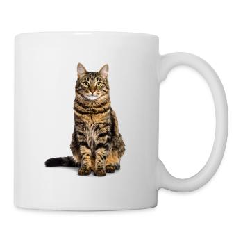 Getigerte Katze – Wild, charmant & voll Charakter - Tasse - Weiß - Rechts