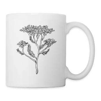 Schafgarbe Yarrow Achillea millefolium - Tasse - Weiß - Rechts
