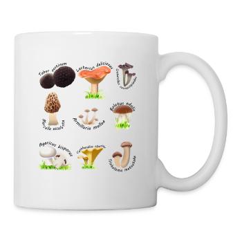 Various edible mushrooms with Latin names - Mug - white - Right