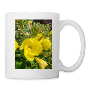 common evening primrose Oenothera biennis - Mug - white - Right