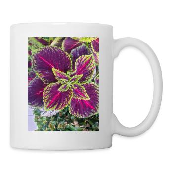 Josephs Mantel auch chinesischer Amaranth - Tasse - Weiß - Rechts