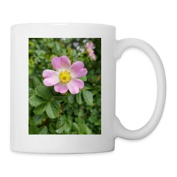 bruyère douce aussi églantine rose Weinrose - Mug blanc - blanc - Droite
