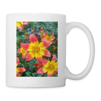 Bidens triplinervia Dreinerviger Zweizahn - Tasse - Weiß - Rechts