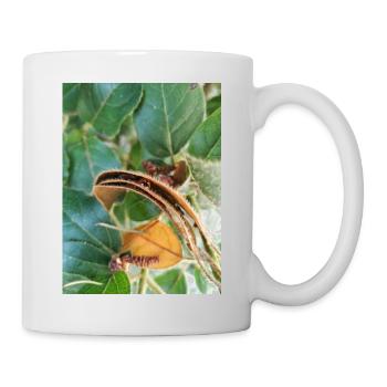 Ladybug in leaves - Mug - white - Right