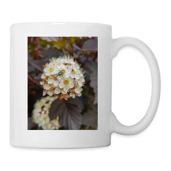 Neunrinde Physocarpus capitatus Blasenspiere - Tasse - Weiß - Rechts