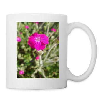 Rosennelke Kronen-Lichtnelke Lychnis coronaria - Tasse - Weiß - Rechts