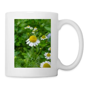 chamomile also kamilla (in german Echte Kamille) - Mug - white - Right