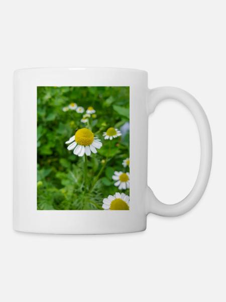 Kamille auch Kamille (auf deutsch Echte Kamille) - Tasse - Weiß