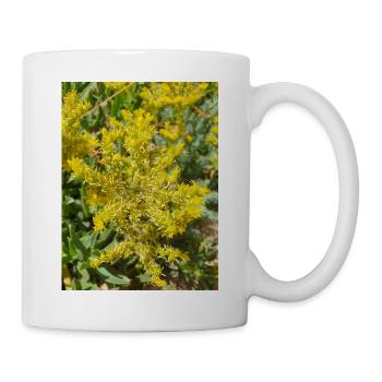 Goldmoos-Mauerpfeffer auch Moos-Mauerpfeffer Sedum acre - Tasse - Weiß - Rechts