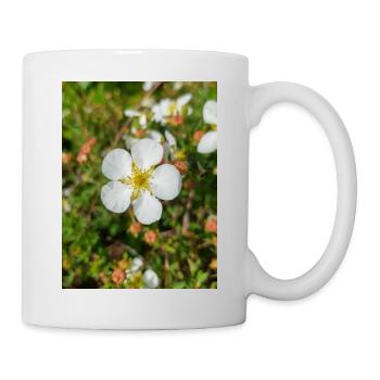 rock cinquefoil Felsen-Fingerkraut Potentilla - Mug - white - Right