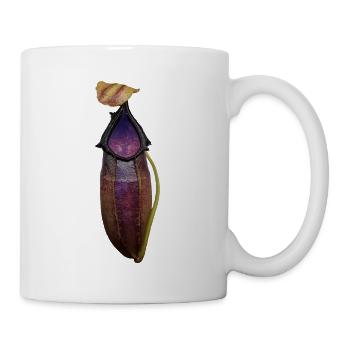 Nepenthes bongso - Tasse - Weiß - Rechts