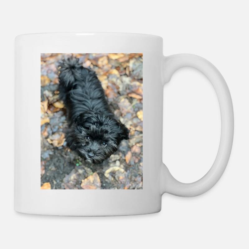 Havaneser forever - Tasse - Weiß