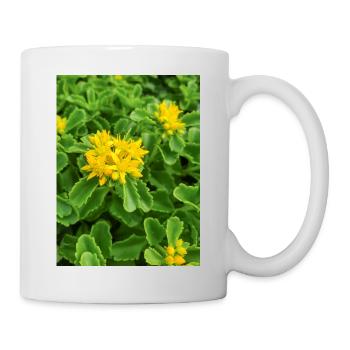 Fetthenne auch Sedum auch Orpine Ewige Fetthenne - Tasse - Weiß - Rechts