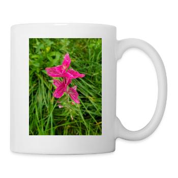 Wilder Muskateller, auch Einjähriger Muskateller, Salvia viridis L. - Tasse - Weiß - Rechts
