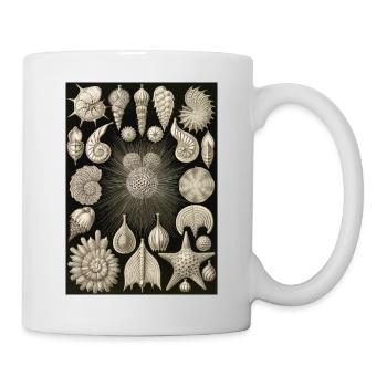Ernst Haeckel -Thalamophora - Mug blanc - blanc - Droite