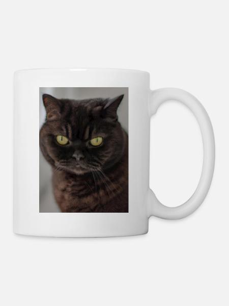 Britisch Kurzhaar Grüne Augen - Tasse - Weiß