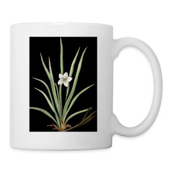 Frontlicht Blume - Tasse - Weiß - Rechts