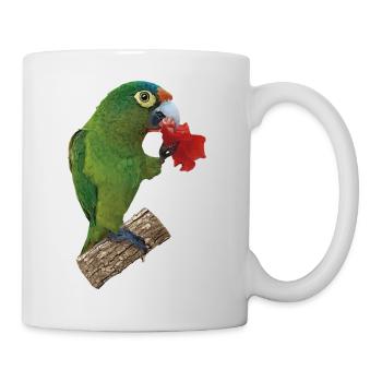 Orangenstirnsittich - Tasse - Weiß - Rechts