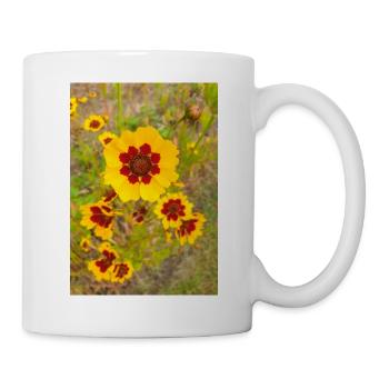 Plains coreopsis also garden tickseed Coreopsis - Tasse - Weiß - Rechts