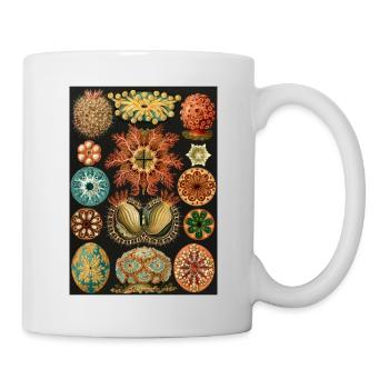 Ernst Haeckel - Ascidiae. Around 1900. - Mug - white - Right