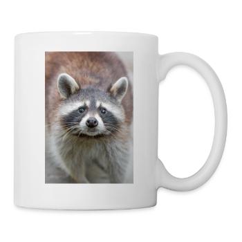 Nordamerikanischer Waschbär (racoons) - Tasse - Weiß - Rechts
