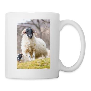 A Highland sheep with a black head in the Scottish - Mug - white - Right