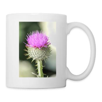 cotton thistle also Scotch or Scottish thistle - Tasse - Weiß - Rechts