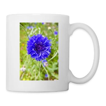 bluebottle also cornflower Kornblume Zyane - Tasse - Weiß - Rechts