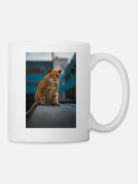 Katzenaufnahme aus Fuerteventura - Tasse - Weiß