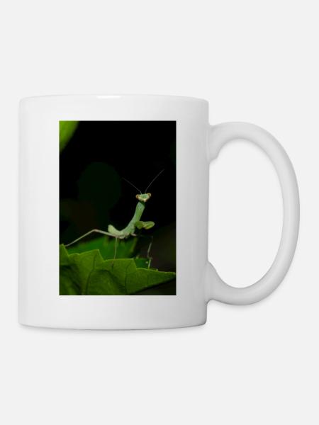 Wild Mantodea species in Crete - Mug - white