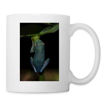 Cochranella granulosa- Glass Frog - Tree Frog - Mug - white - Right
