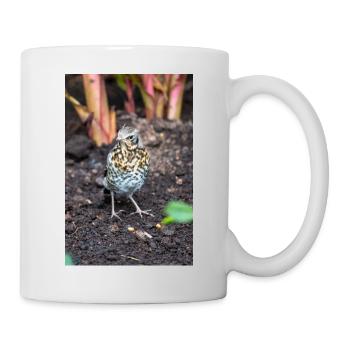 Fieldfare (in german Wacholderdrossel) Turdus pila - Mug - white - Right