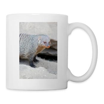 Gebänderte Manguste oder Zebramanguste - Tasse - Weiß - Rechts