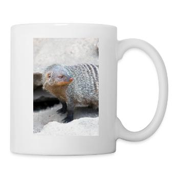 Gebänderte Manguste oder Zebramanguste - Tasse - Weiß - Rechts
