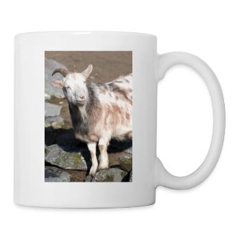 Chèvre naine ou chèvre miniature Zwergziege - Mug blanc - blanc - Droite