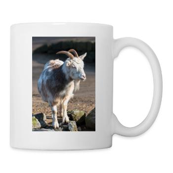 Chèvre naine ou chèvre miniature Zwergziege - Mug blanc - blanc - Droite