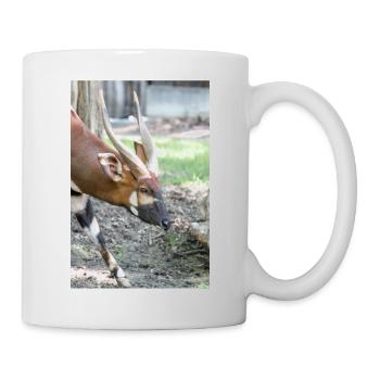 Östlicher Bongo Tragelaphus euryce - Tasse - Weiß - Rechts