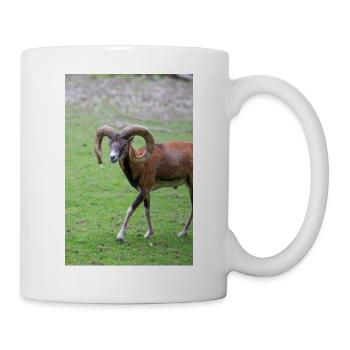 Mouflon européen Europäischer Mufflon - Mug blanc - blanc - Droite