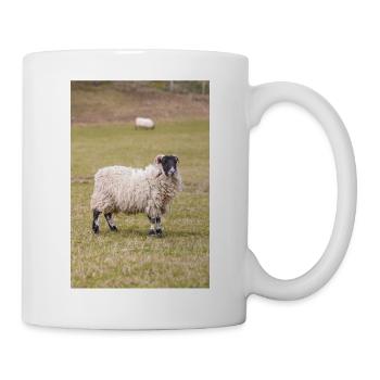 Mouton (en allemand Schaf) Ovis en Irlande - Mug blanc - blanc - Droite
